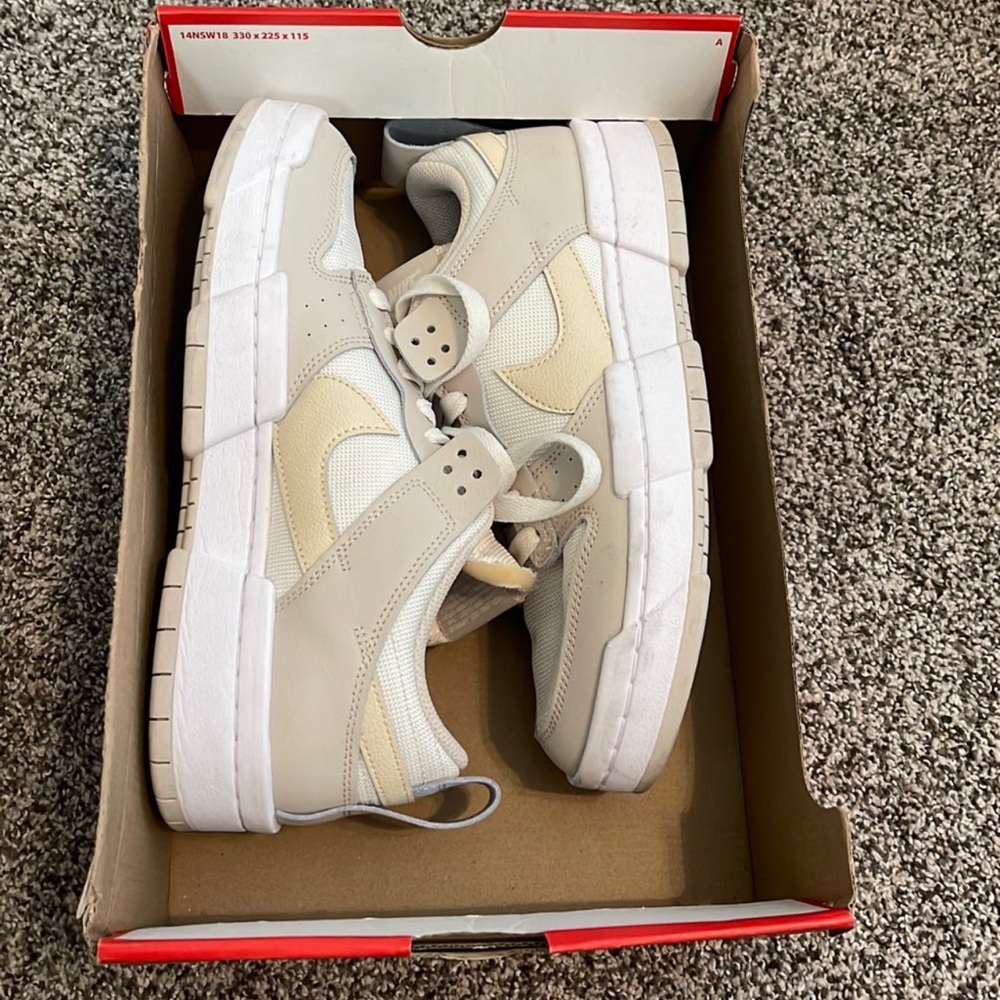 Women’s Nike Dunk Disrupt